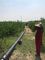 40 мм 50 мм сельская поли трубы системы орошения водоснабжения